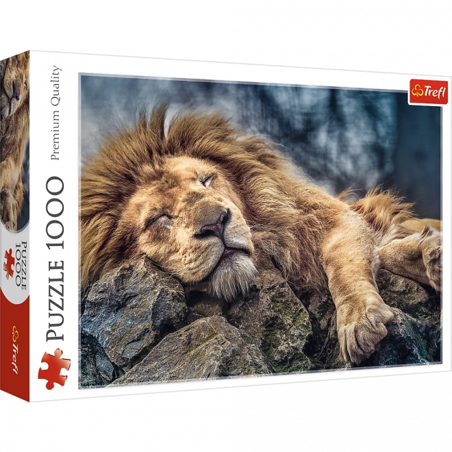 Puzzle Spavajući Lav 1000 komada u kutiji 40x27x6cm