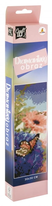 Dijamantno slikanje 30x30 cm