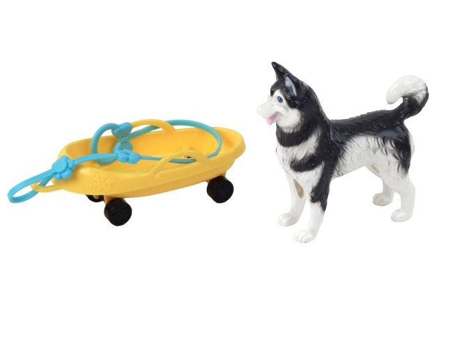 Pas Husky kao vjerni pratilac