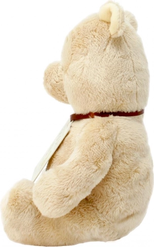 Rainbow plišani medvjedić Pooh