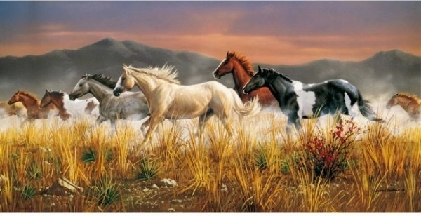 Puzzle Divlji konji – gromogrdno stado 13224 dijelova CLEMENTONI