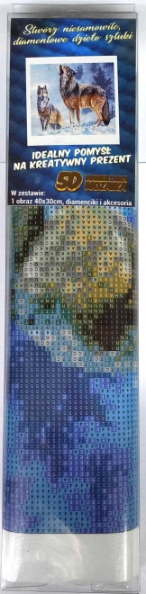 Dijamantno slikanje Zov vuka 30x40cm