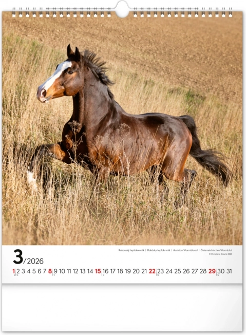 Zidni kalendar Konji 2026