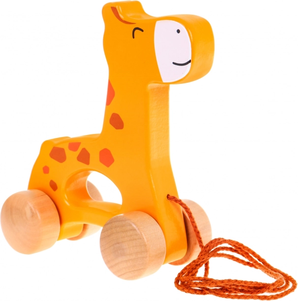 Potpora razvoju motorike