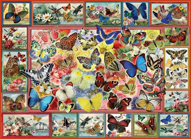 Puzzle Mnogo Leptira 1000 Dijelova