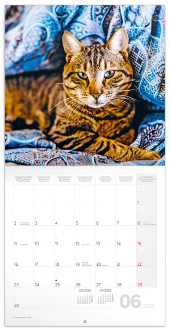 Kalendar za bilješke Mačke 2025, 30 × 30 cm