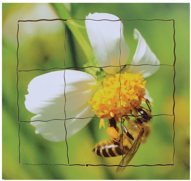 Just Jigsaws 600 Pčela – drvene složive puzzle