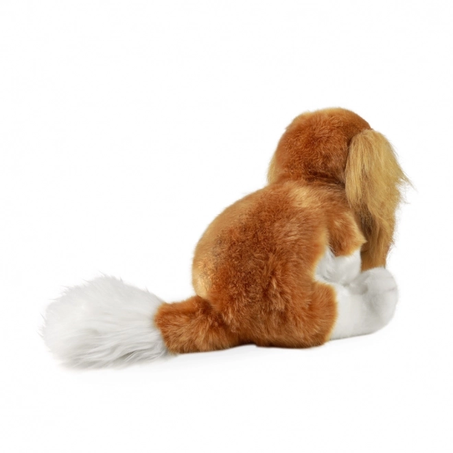 Plišani pas Cavalier King Charles Španijel eco-friendly