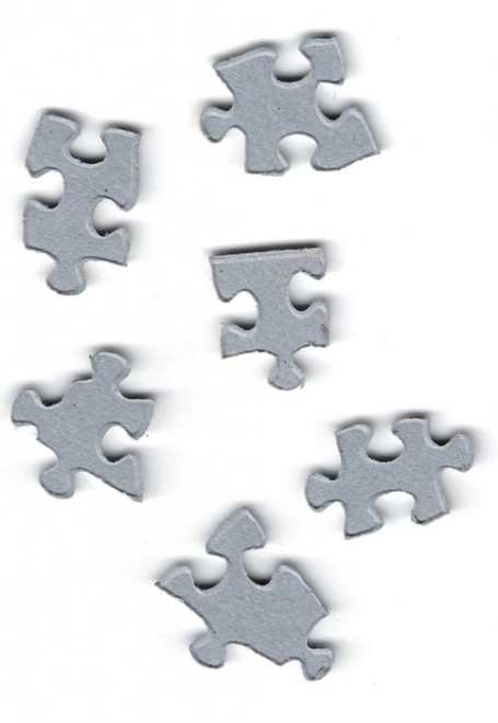 Eurographics Puzzle Ljubav 60-ih godina 1000 komada