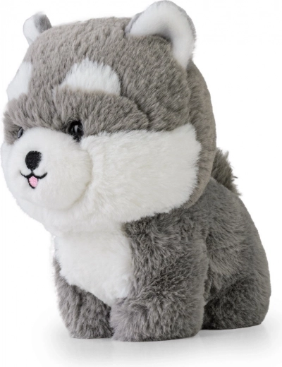 Sigurni izvezeni detalji