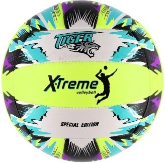 Univerzalna za dvoranu i plažu