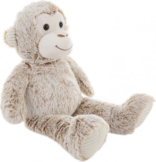 Veličina koja veseli