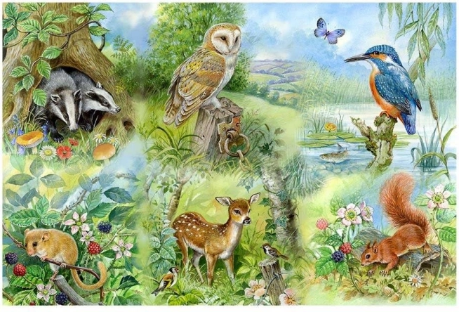 Puzzle Studij prirode 250 dijelova