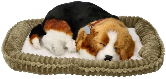 Dišuće štene Beagle Perfect Petzzz