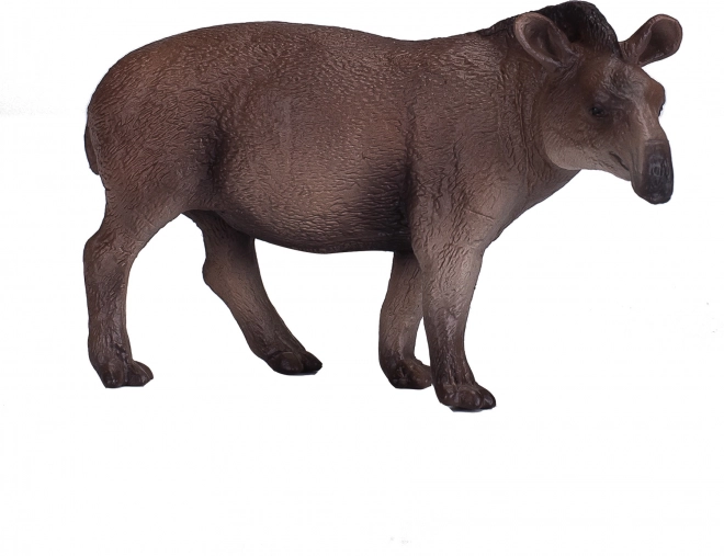 Mojo južnoamerički tapir