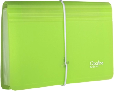 Organizator dokumenata s gumicom prozirno-zelena