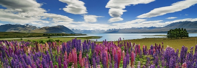 Puzzle 1000 dijelova Jezero Tekapo