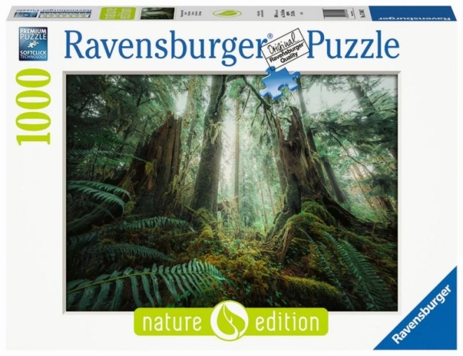 Puzzle 1000 dijelova Šume Ravensburger