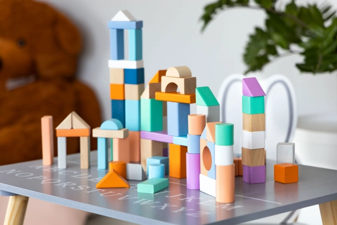 Drvene kocke 100 kom u kanti sa sorterom Ecotoys