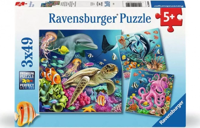 Puzzle Život pod vodom 3x49 dijelova