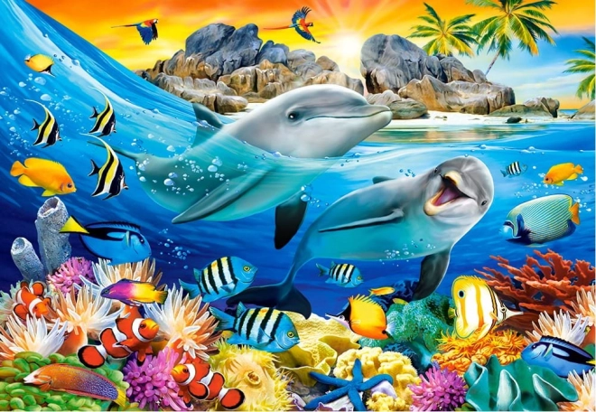 Puzzle 1000 dijelova Dupini u Tropima