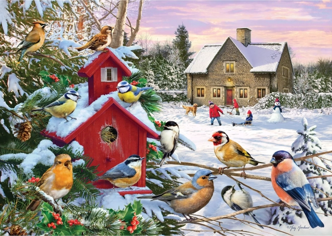 Puzzle Zimska krila 1000 dijelova