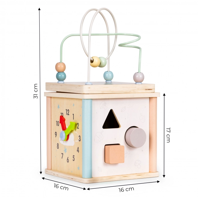 Drvene obrazovne kocke Ecotoys