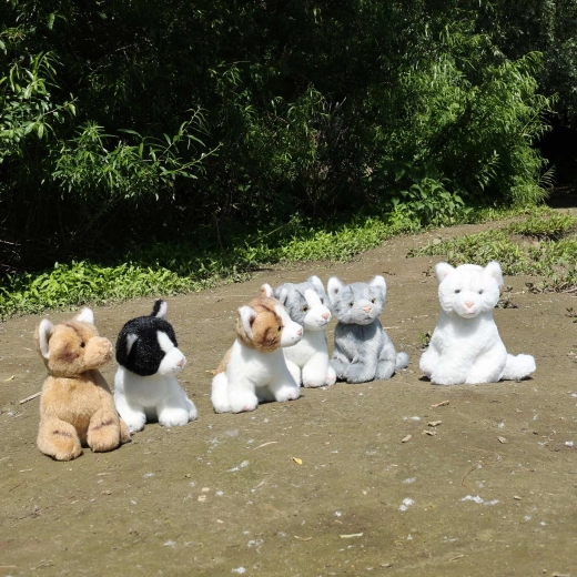 Šest prekrasnih varijanti za svakoga