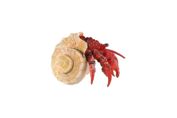 Pustinjak rak plast 7 cm u vrećici