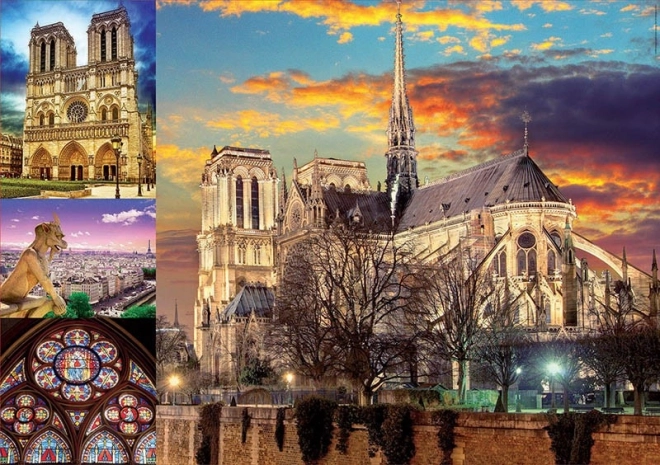 Puzzle Notre Dame kolaž 1000 dijelova