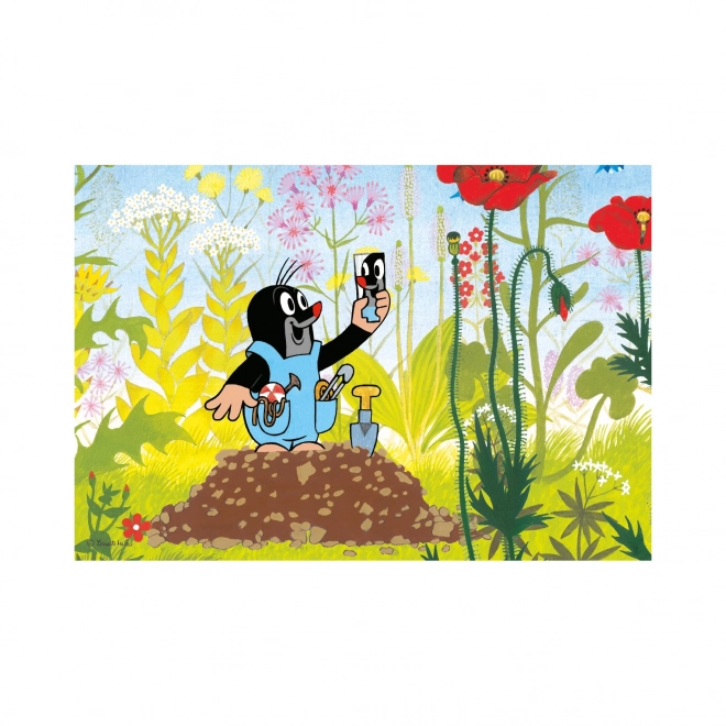 Krtek u hlačama puzzle 24 dijelova