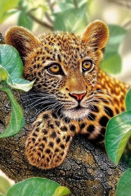 Sada za dijamantno slikanje - leopard
