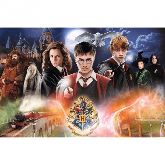Tajanstveni Harry Potter puzzle 300 dijelova