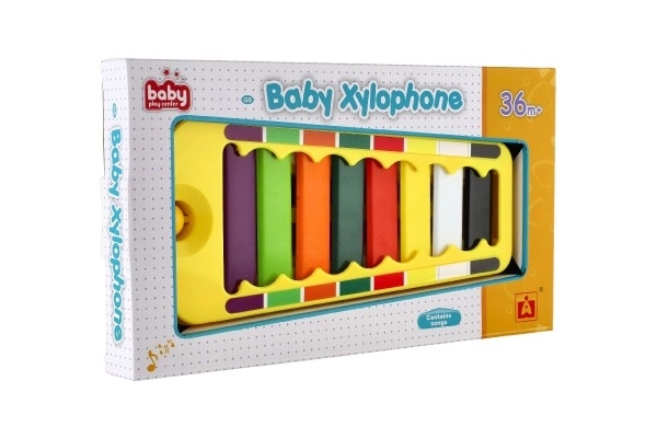 Xilofon plast/metal 24cm s palicom u kutiji 29x16x3cm