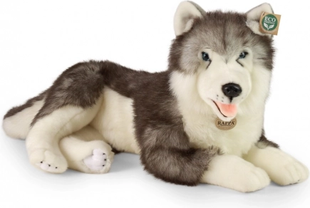 Plišani pas husky ležeći 60 cm ECO‑FRIENDLY od RAPPA