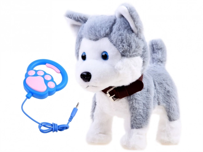 Interaktivni psić Husky na povodcu