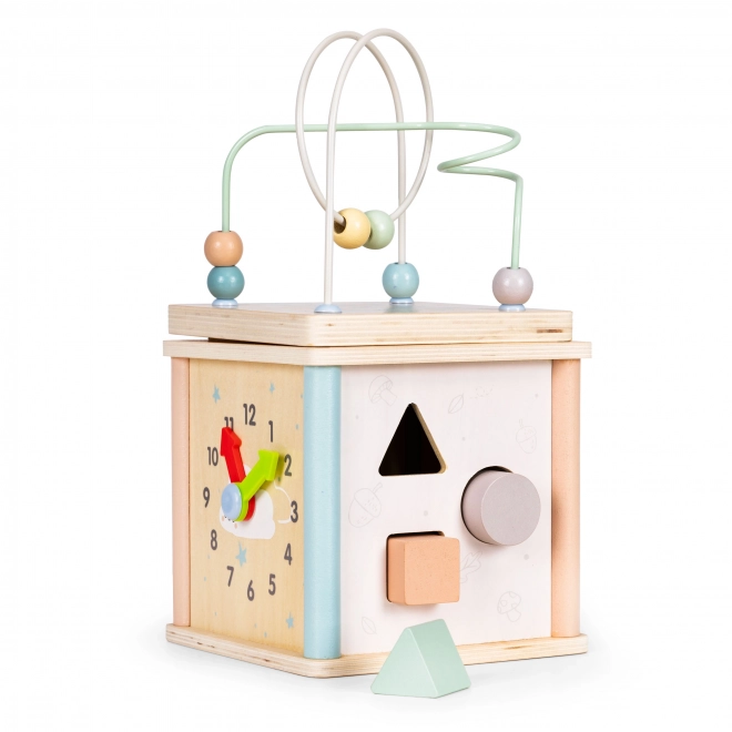 Drvene obrazovne kocke Ecotoys