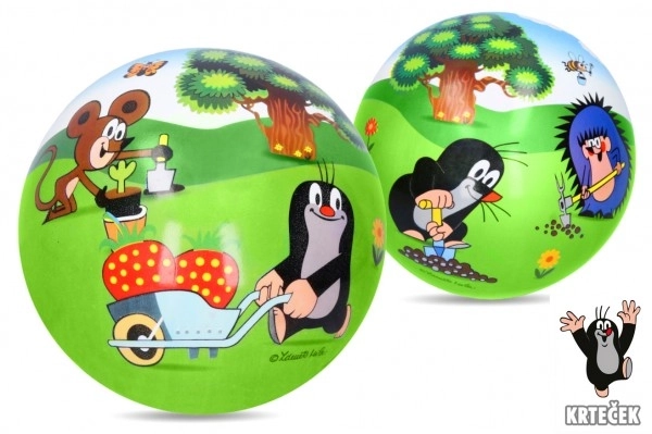 Nafukajuća gumena lopta Krtek 23 cm u mrežici