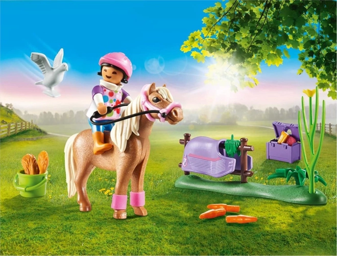 PLAYMOBIL® Country 70514 Kolekcionarski islandski poni