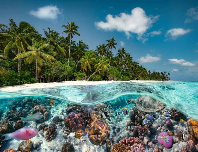 Puzzle Ronjenje na Maldivima