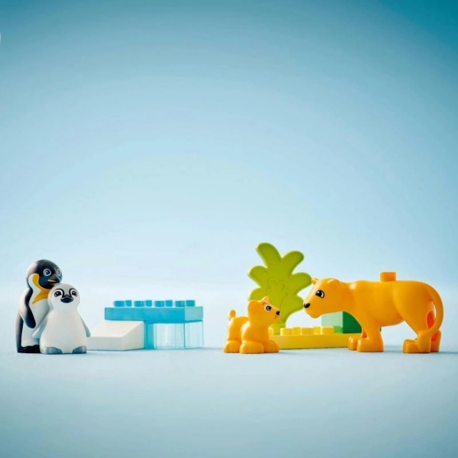 Lego Duplo Obitelj divljih životinja: Pingvini i lavovi