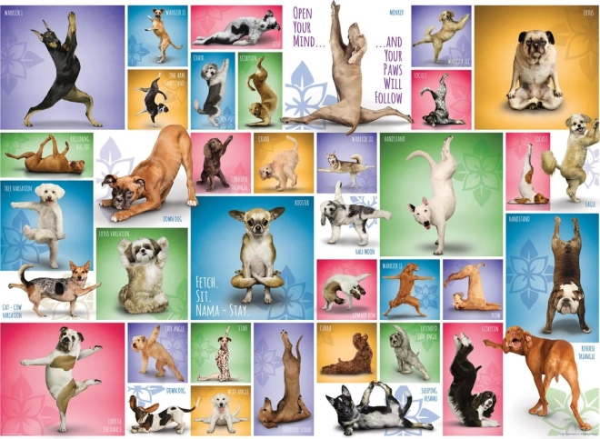Puzzle EUROGRAPHICS Pseća joga 1000 dijelova