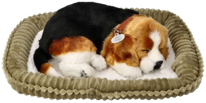 Dišuće štene Beagle Perfect Petzzz