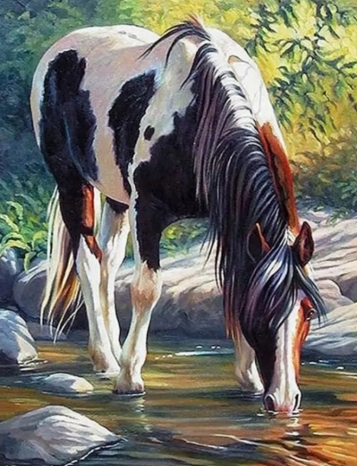 Dijamantno slikanje Konj u rijeci 30x40 cm