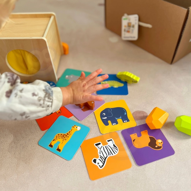 Edukativni Montessori kutija za djecu u dobi od 31-36 mjeseci