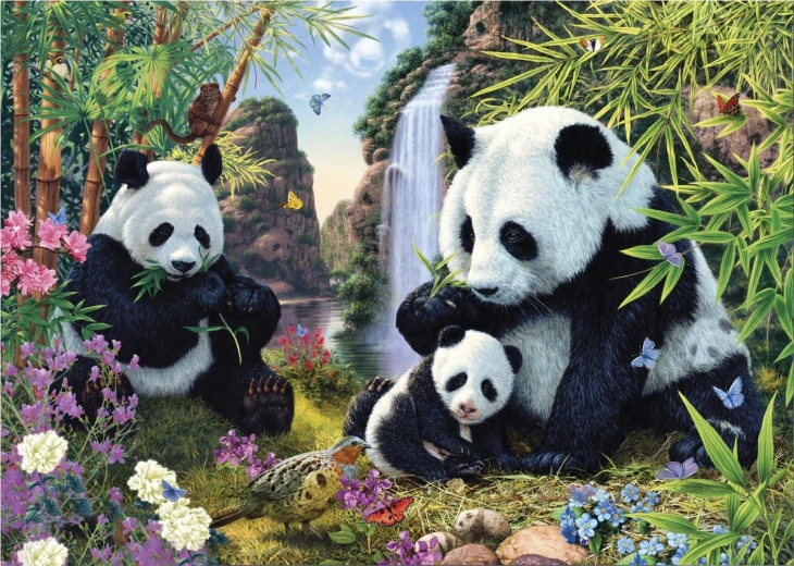 Puzzle Skriveni pande 1000 dijelova – Secret Collection