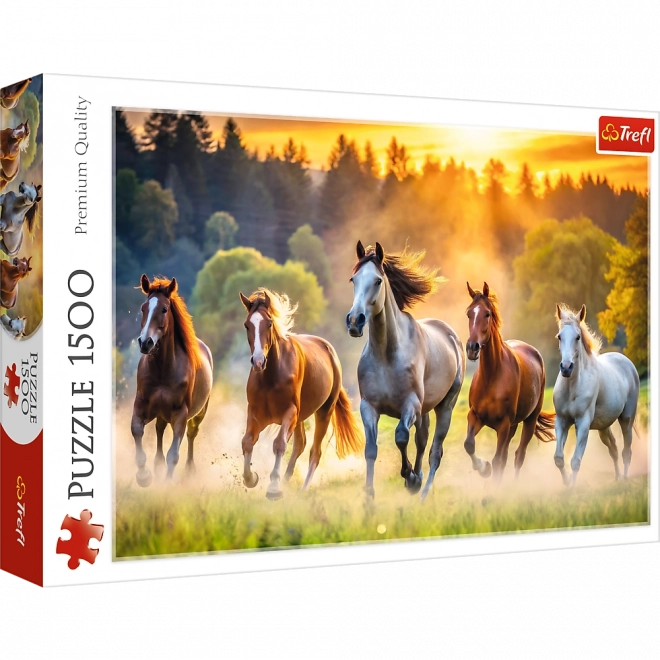 Puzzle Divlji Konji 1500 Dijelova