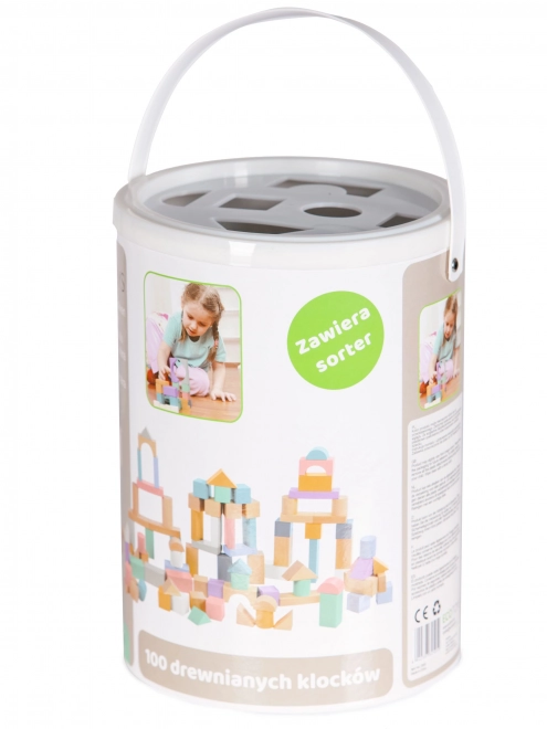 Drvene kocke 100 kom u kanti sa sorterom Ecotoys