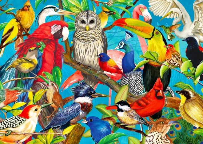 Puzzle Perje Ludaština 1000 Dijelova