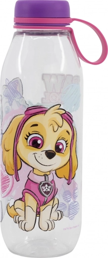 Playful Paw Patrol design